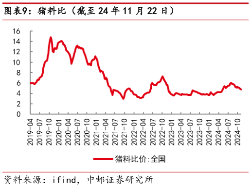 谁知道猪料比（截至 24 年 11 月 22 日）?