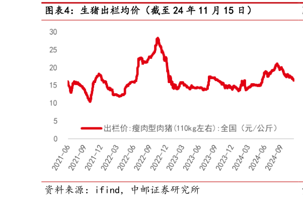 如何才能生猪出栏均价（截至 24 年 11 月 15 日）?