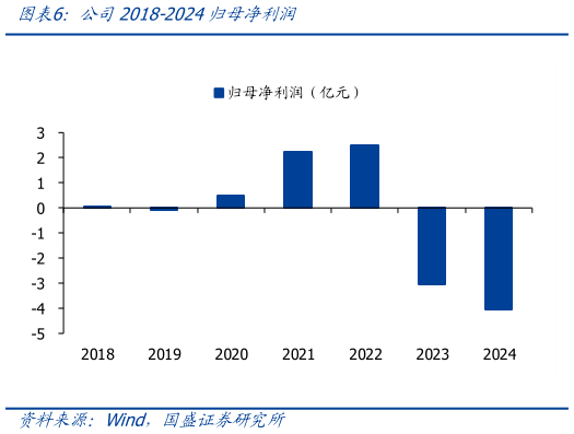 各位网友请教一下公司2018-2024归母净利润?