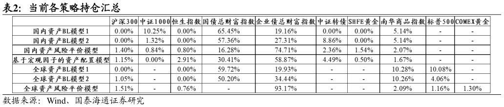 我想了解一下当前各策略持仓汇总