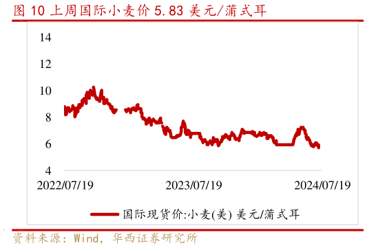 咨询大家上周国际小麦价 5.83 美元蒲式耳?