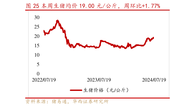 咨询下各位本周生猪均价 19.00 元公斤,周环比1.77%?