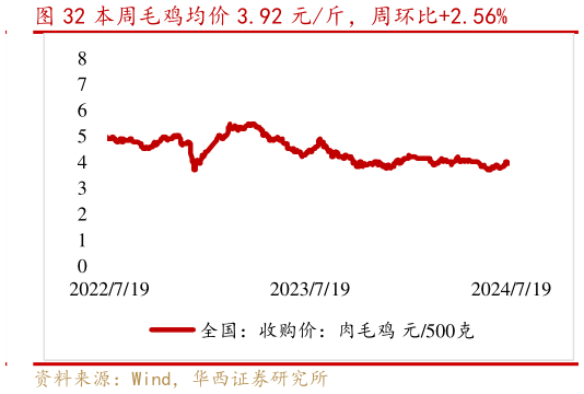 如何看待本周毛鸡均价 3.92 元斤,周环比2.56%?