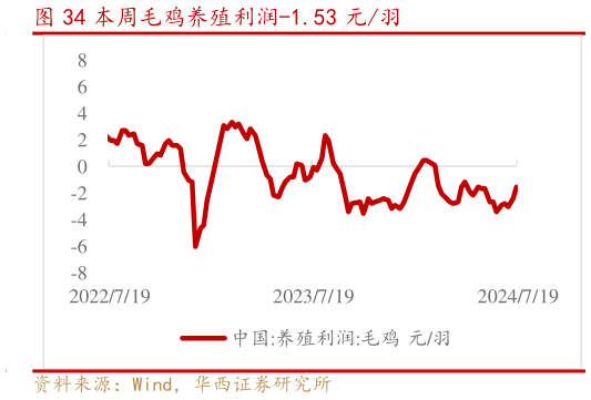 咨询大家本周毛鸡养殖利润-1.53 元羽?