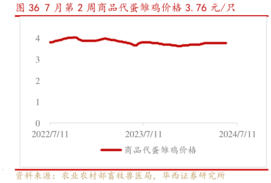 咨询下各位7 月第 2 周商品代蛋雏鸡价格 3.76 元只?