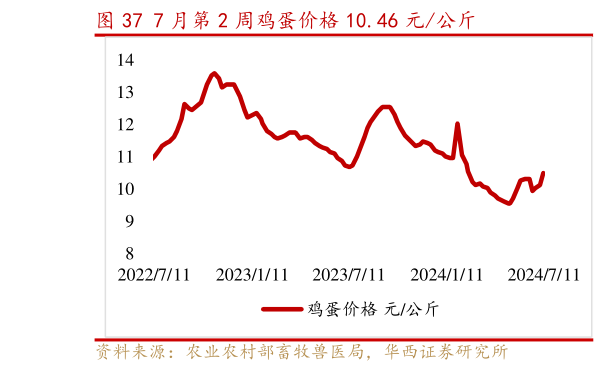 谁知道7 月第 2 周鸡蛋价格 10.46 元公斤?
