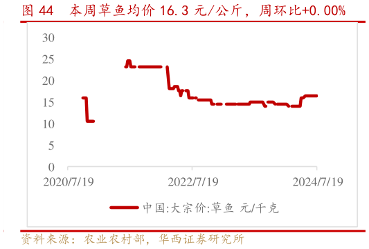 请问一下本周草鱼均价 16.3 元公斤，周环比0.00%?