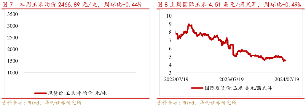 如何了解本周玉米均价 2466.89 元吨,周环比-0.44% 上周国际玉米 4.51 美元蒲式耳,周环比-0.49%上周国际玉米 4.51 美元蒲式耳,周环比-0.49%?