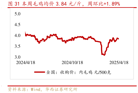如何了解本周毛鸡均价 3.84 元斤，周环比1.89%?