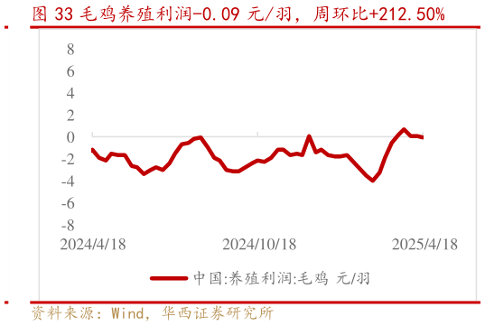 如何解释毛鸡养殖利润-0.09 元羽，周环比212.50%?