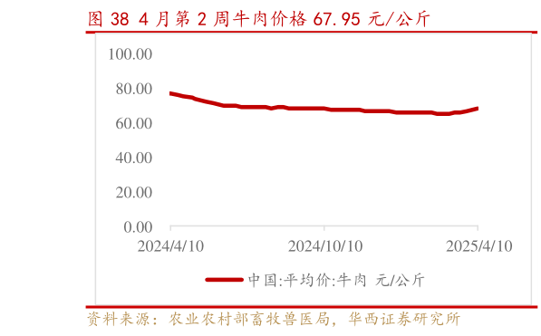 如何了解4 月第 2 周牛肉价格 67.95 元公斤?