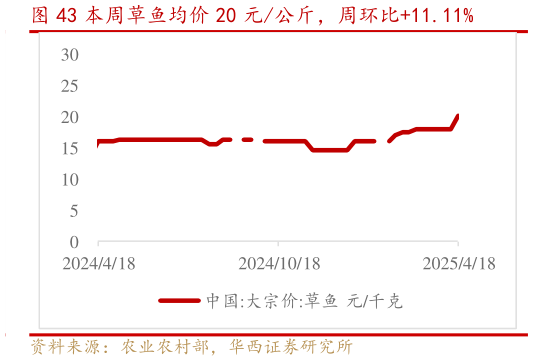 你知道本周草鱼均价 20 元公斤，周环比11.11%?
