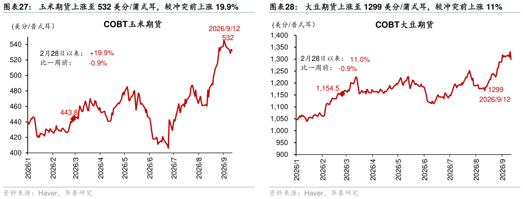 如何看待玉米期货上涨至 532 美分蒲式耳，较冲突前上涨 19.9%
