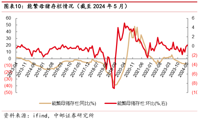 如何了解能繁母猪存栏情况(截至 2024 年 5 月)?