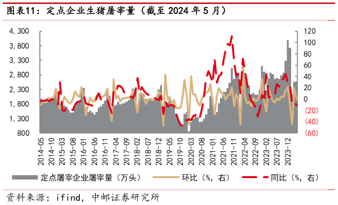 一起讨论下定点企业生猪屠宰量(截至 2024 年 5 月)?