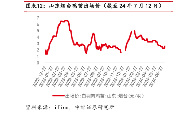 如何看待山东烟台鸡苗出场价(截至 24 年 7 月 12 日) 山东烟台毛鸡收购价(截至 24 年 7 月 12 日)?