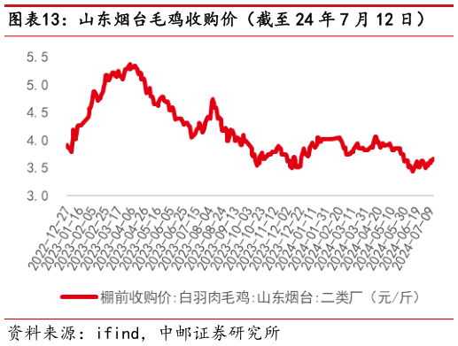 我想了解一下山东烟台毛鸡收购价(截至 24 年 7 月 12 日)?