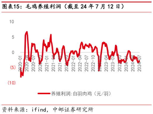 各位网友请教一下毛鸡养殖利润(截至 24 年 7 月 12 日)?