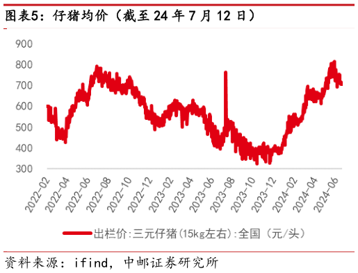 想问下各位网友仔猪均价（截至 24 年 7 月 12 日）?