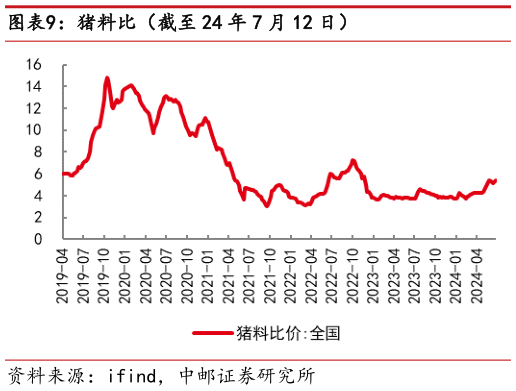 怎样理解猪料比(截至 24 年 7 月 12 日)?
