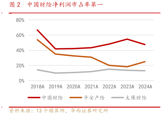想关注一下中国财险净利润市占率第一