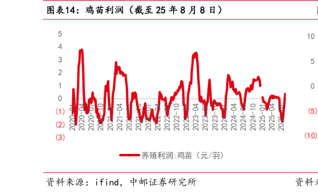如何看待鸡苗利润（截至 25 年 8 月 8 日）?