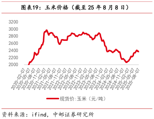 如何了解玉米价格（截至 25 年 8 月 8 日）?
