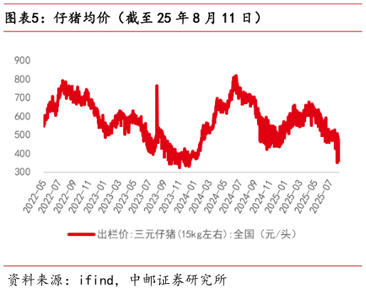 一起讨论下仔猪均价（截至 25 年 8 月 11 日）?