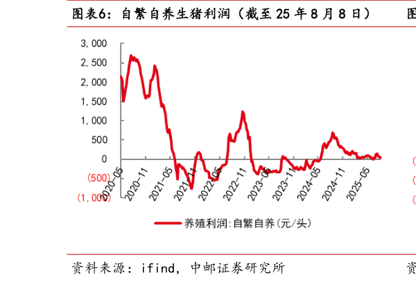 怎样理解自繁自养生猪利润（截至 25 年 8 月 8 日）  外购仔猪养殖利润（截至 25 年 8 月 8 日）?