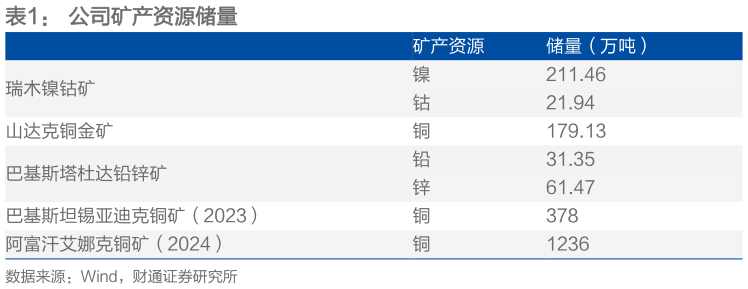 如何了解公司矿产资源储量