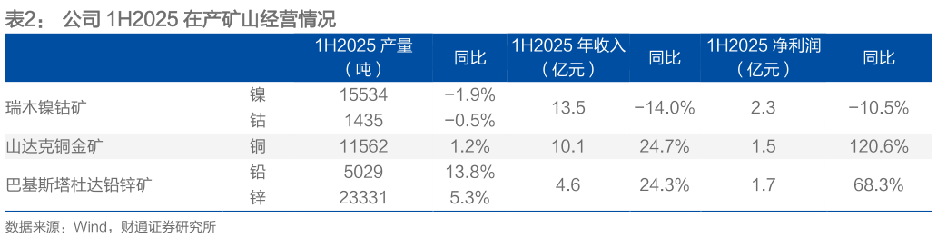 如何了解公司 1H2025 在产矿山经营情况