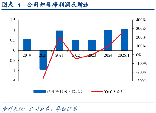 各位网友请教一下公司归母净利润及增速?