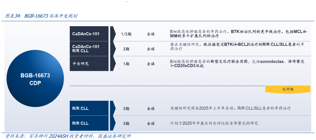 我想了解一下BGB-16673临床开发规划