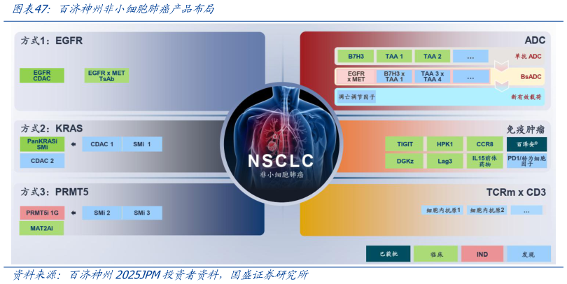谁能回答百济神州非小细胞肺癌产品布局