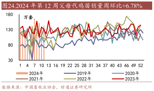 各位网友请教一下.2024 年第 12 周父母代鸡苗销量周环比6.78%?