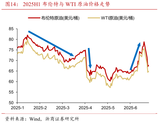 我想了解一下2025H1 布伦特与 WTI 原油价格走势