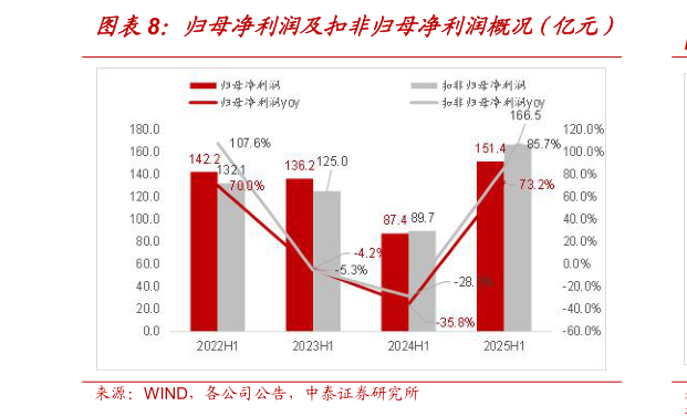 想问下各位网友归母净利润及扣非归母净利润概况（亿元）