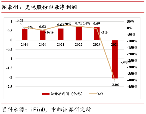 想关注一下光电股份归母净利润