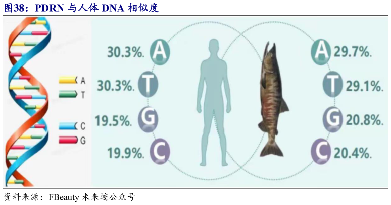 你知道PDRN 与人体 DNA 相似度?