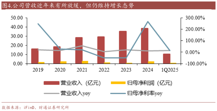 怎样理解.公司营收近年来有所放缓,但仍维持增长态势?