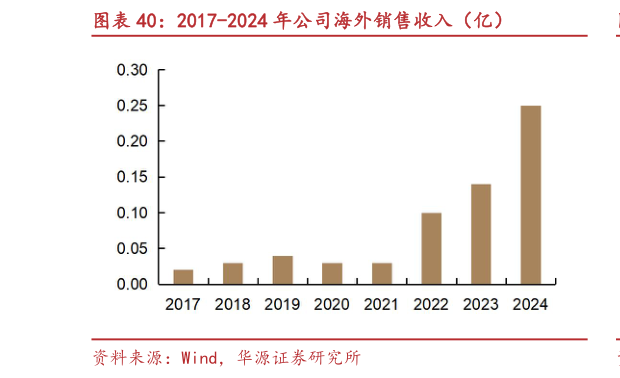 怎样理解2017-2024 年公司海外销售收入(亿)?