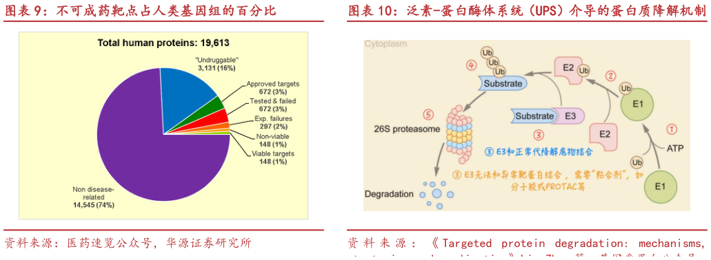 我想了解一下不可成药靶点占人类基因组的百分比泛素-蛋白酶体系统(UPS)介导的蛋白质降解机制?