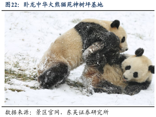 怎样理解卧龙中华大熊猫苑神树坪基地