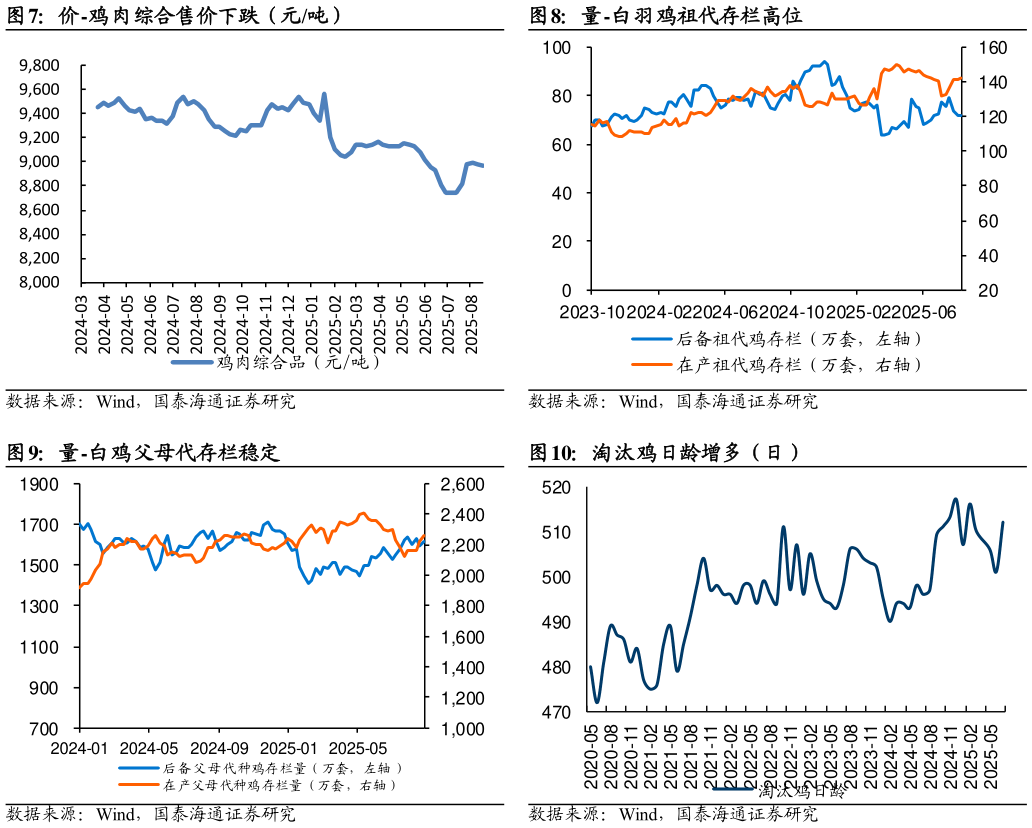 各位网友请教一下量-白羽鸡祖代存栏高位 淘汰鸡日龄增多（日）?
