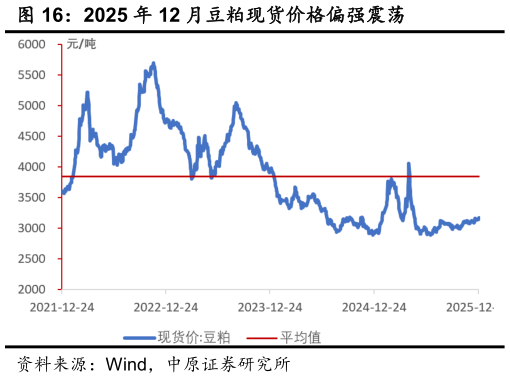 想关注一下2025 年 12 月豆粕现货价格偏强震荡