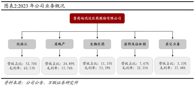 如何了解2023 年公司业务概况