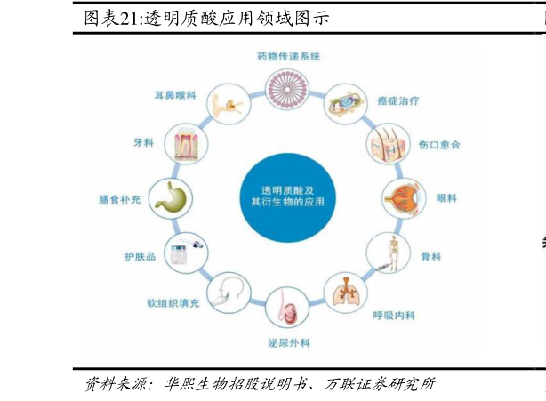 咨询下各位透明质酸应用领域图示