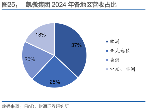 如何了解凯傲集团 2024 年各地区营收占比