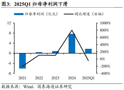 如何了解2025Q1 归母净利润下滑