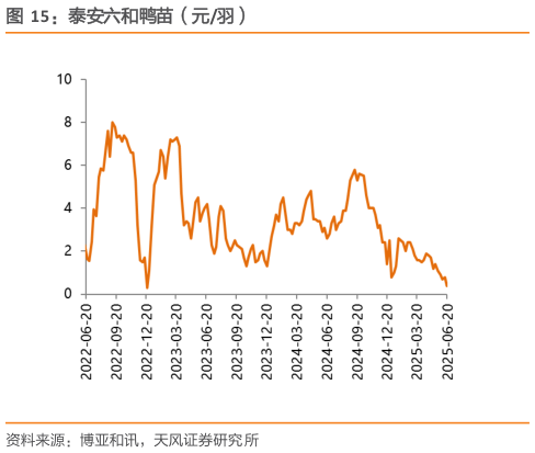 想问下各位网友泰安六和鸭苗(元羽)?